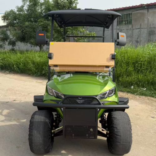 2 Seater Golf Cart