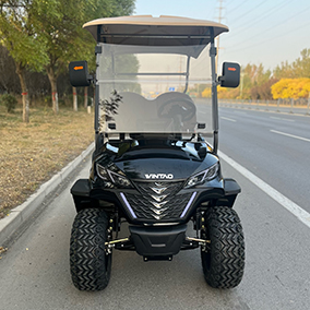 2 Seater Golf Cart