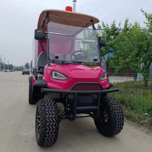 Utility Electric Golf Cart 2 Seater