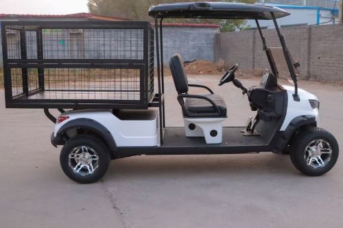 Utility Electric Golf Cart 2 Seater