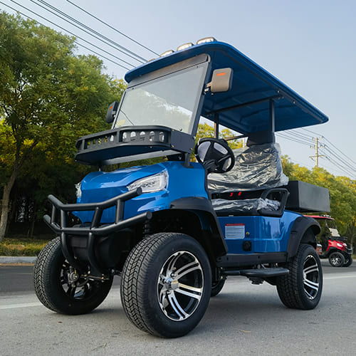Utility Electric Golf Cart 2 Seater