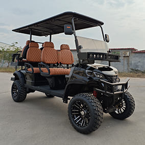 6 Seater  Golf Cart