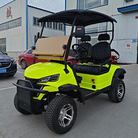 2 Seater Golf Cart