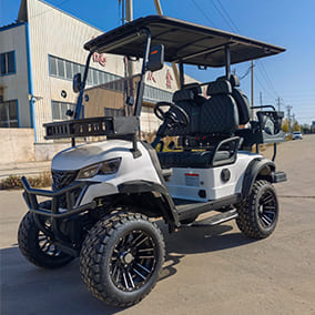4 Seater Golf Cart