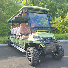 8 Seater Golf Cart