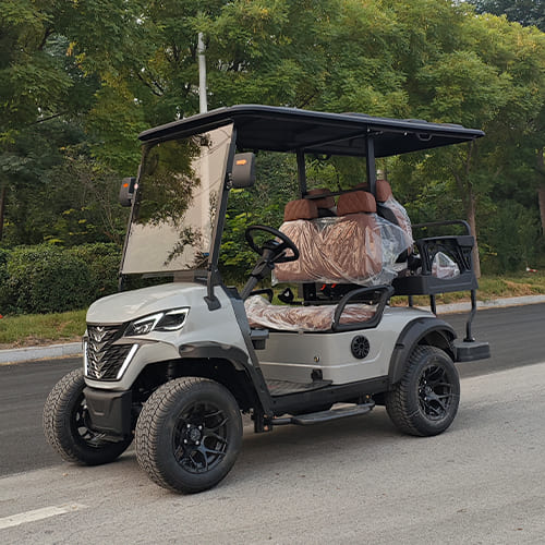 2+2 Seater Electric Golf Cart