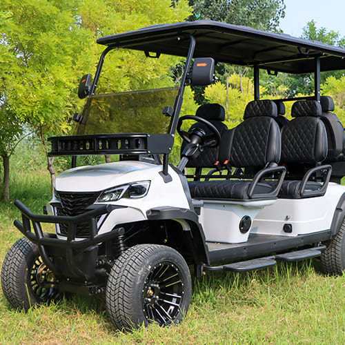 4+2 Seater Electric Golf Cart