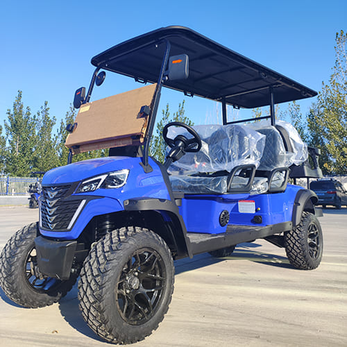 4+2 Seater Electric Golf Cart