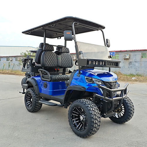 2+2 Seater Electric Golf Cart