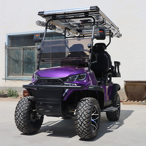 2+2 Seater Electric Golf Cart