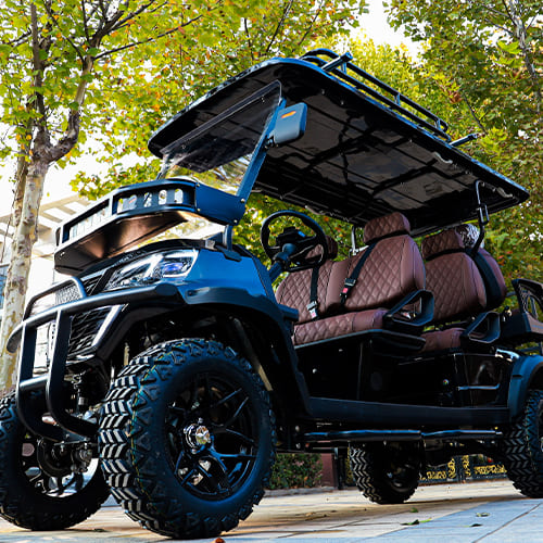 4+2 Seater Electric Golf Cart