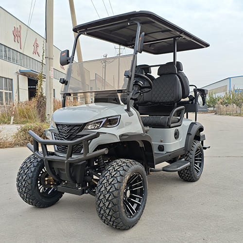 2+2 Seater Electric Golf Cart