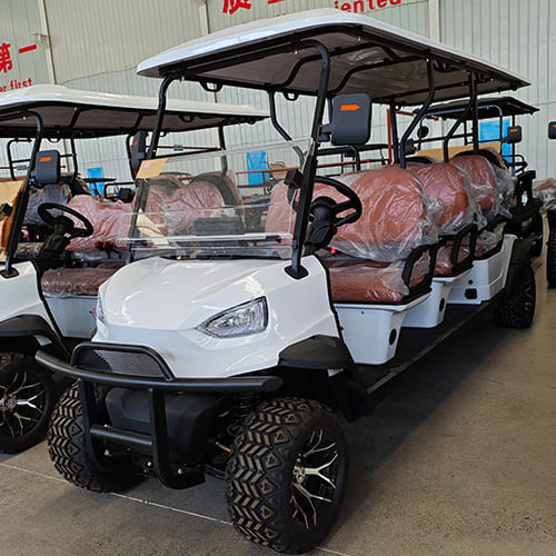 6+2 Seater Electric Golf Cart