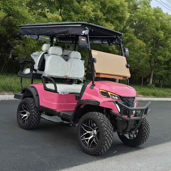 2+2 Seater Electric Golf Cart
