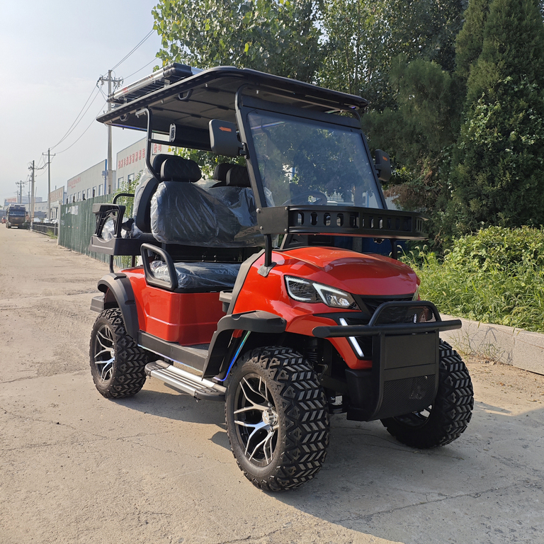 2+2 Seater Electric Golf Cart